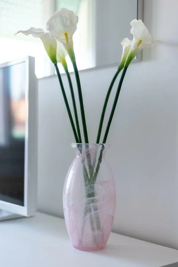 Apartamento Ca Misericordia Venecia Italia